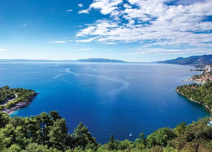 Pet Friendly In Prázdninový dům Opatija